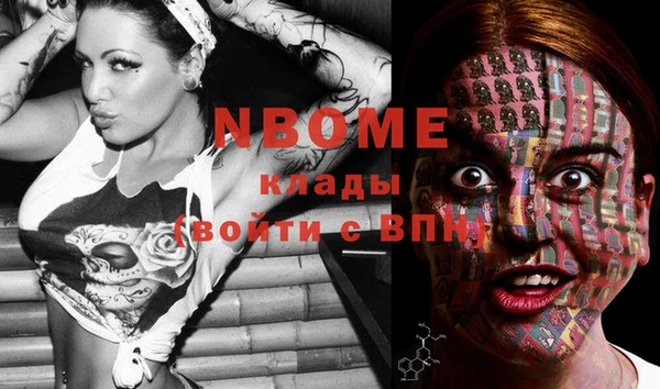 молекула духа Белоозёрский