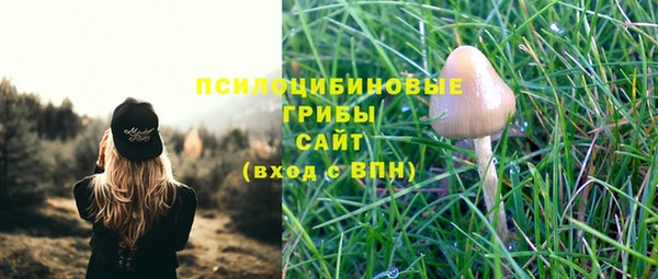 гашиш Белокуриха